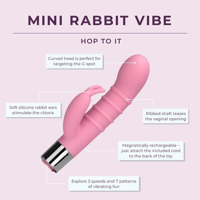 Pure Romance By ValGina Vibrators Mini Rabbit Vibe NEW